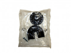 119RICX004